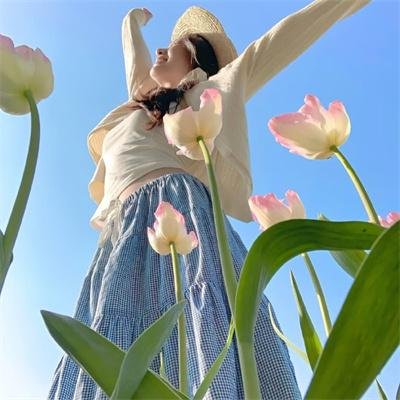海军罪案调查处第十一季