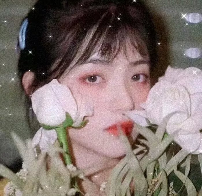 解谎侦探少女